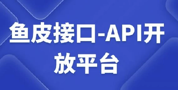 API开放平台开发课：鱼皮接口实战教学-夸夸软件库